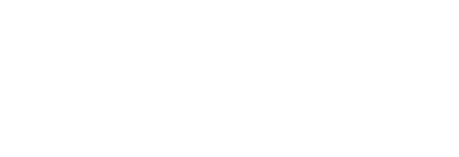 Zingr Digi Solutions